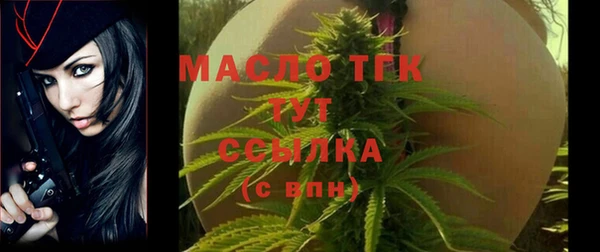 соль ск Новозыбков
