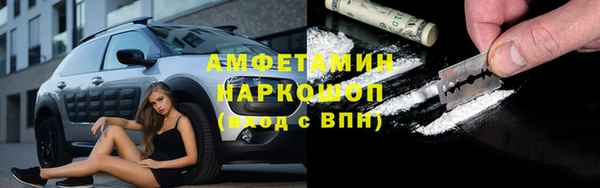 соль ск Новозыбков