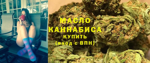 соль ск Новозыбков