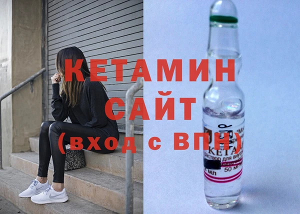 соль ск Новозыбков