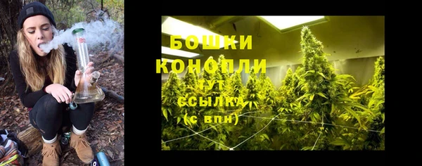 соль ск Новозыбков