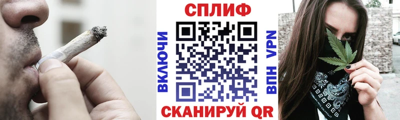 Конопля планчик  Костомукша 